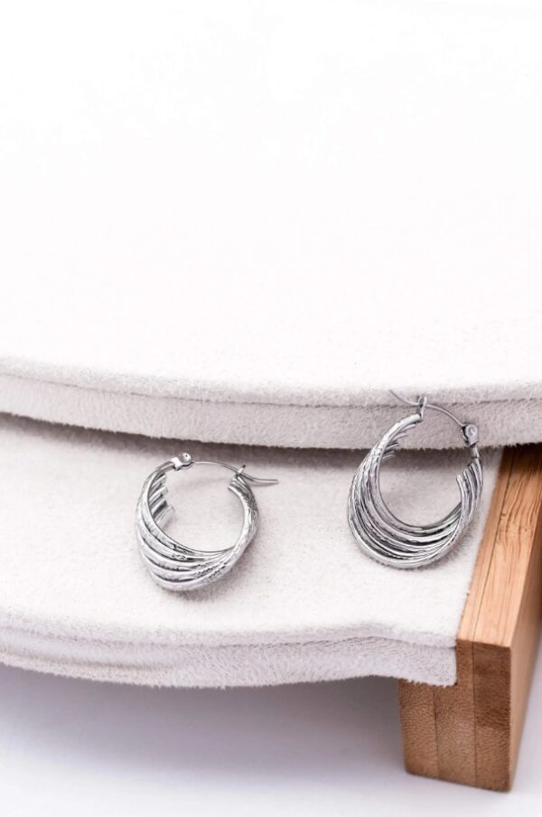 .Twirls Silver Earrings